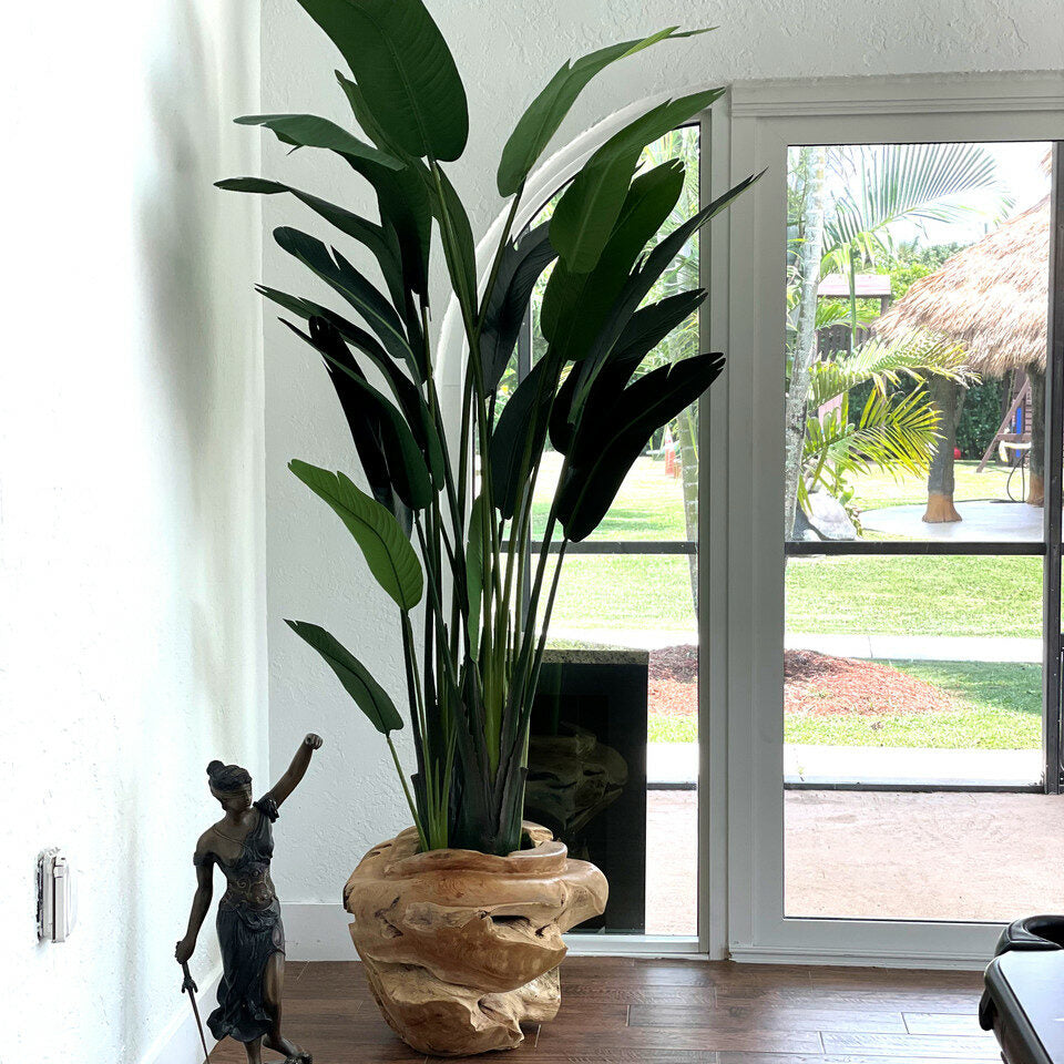 XXL Vase aus Teakholz mit prächtiger Strelitzie (Paradiesvogelblume)