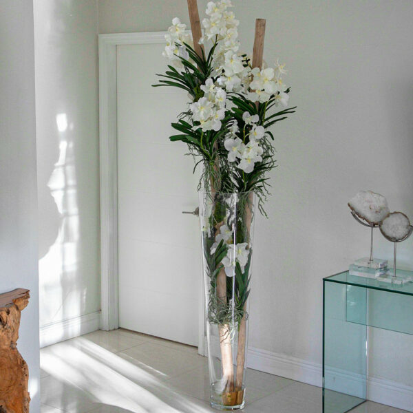 Elfenbein Vanda-Orchideen mit Treibholz in einem XXLen konischen Glaszylinder