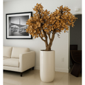 Magnolienbaum in Beige im glänzend Elfenbeinen Topf – Neu eingetroffen