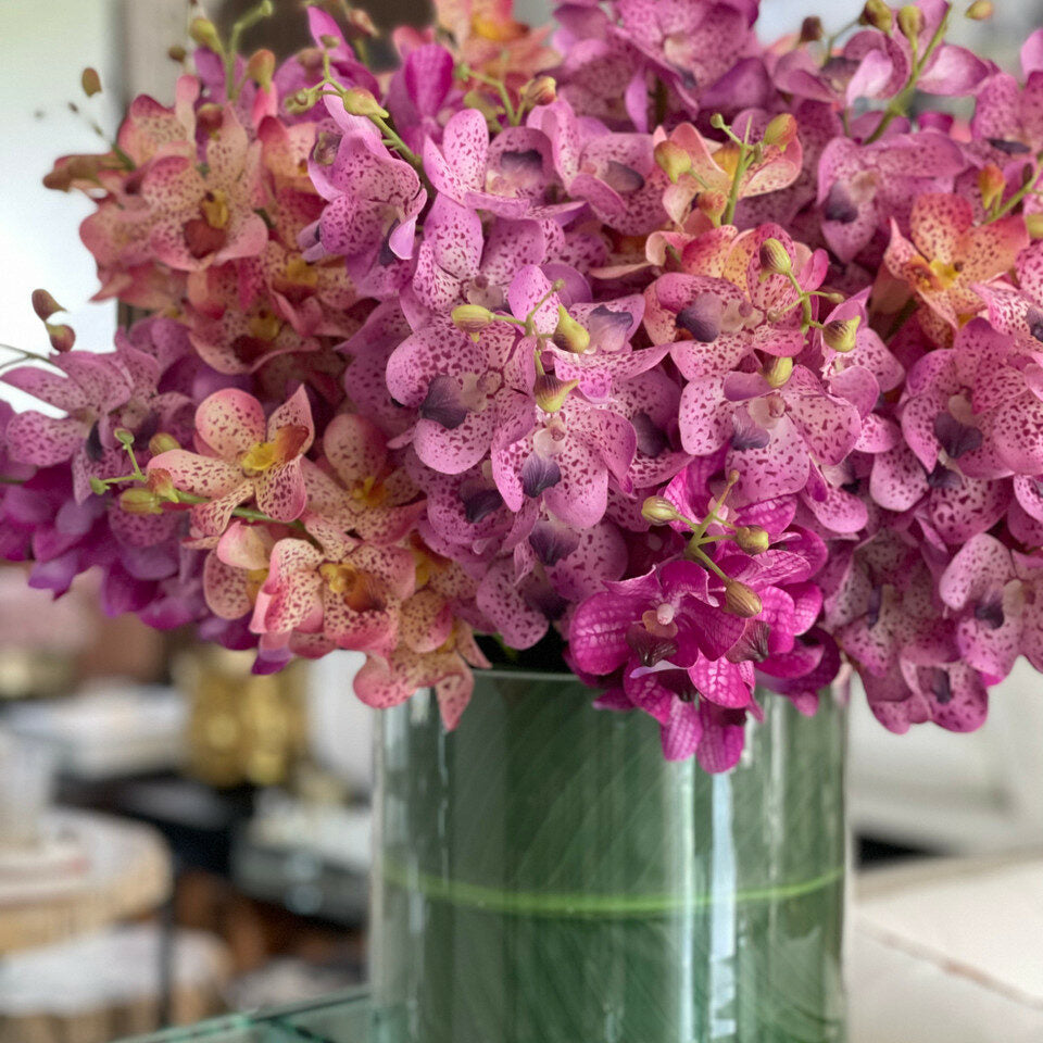 Gemischte Mokara-Orchideen in XXLem Rota-Zylinder
