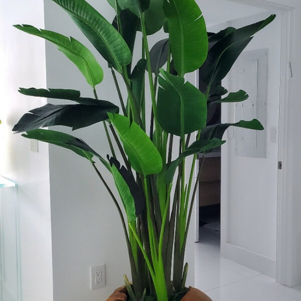 XXL Vase aus Teakholz mit prächtiger Strelitzie (Paradiesvogelblume)