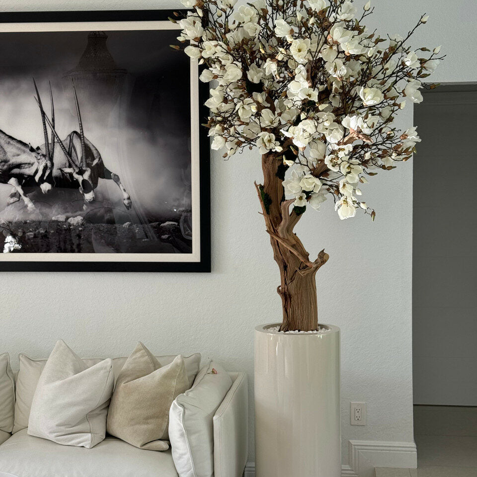 Elfenbeiner Magnolienbaum im glänzenden St. Tropez Beige Topf