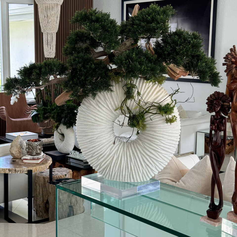 XXL Ewigkeitsvase mit hängendem Bonsai und Treibholz