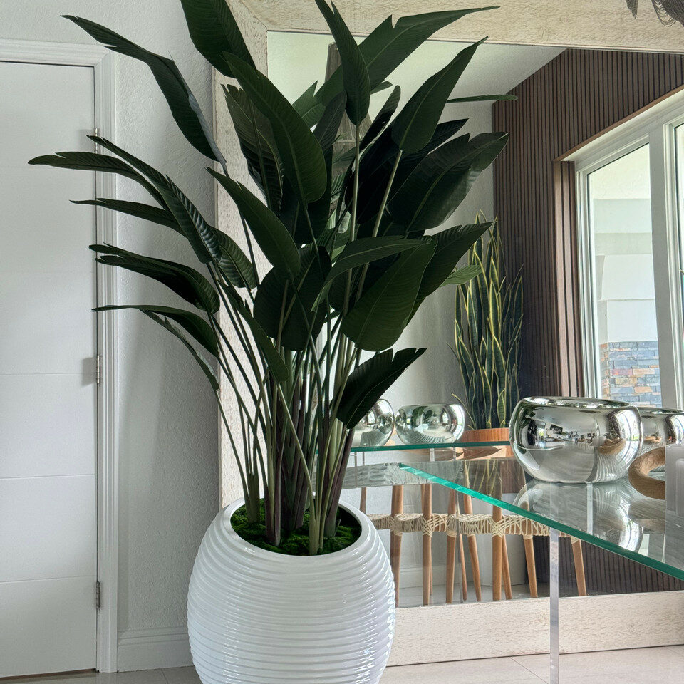 Paradiesvogelblume in Elfenbeiner Spiralvase