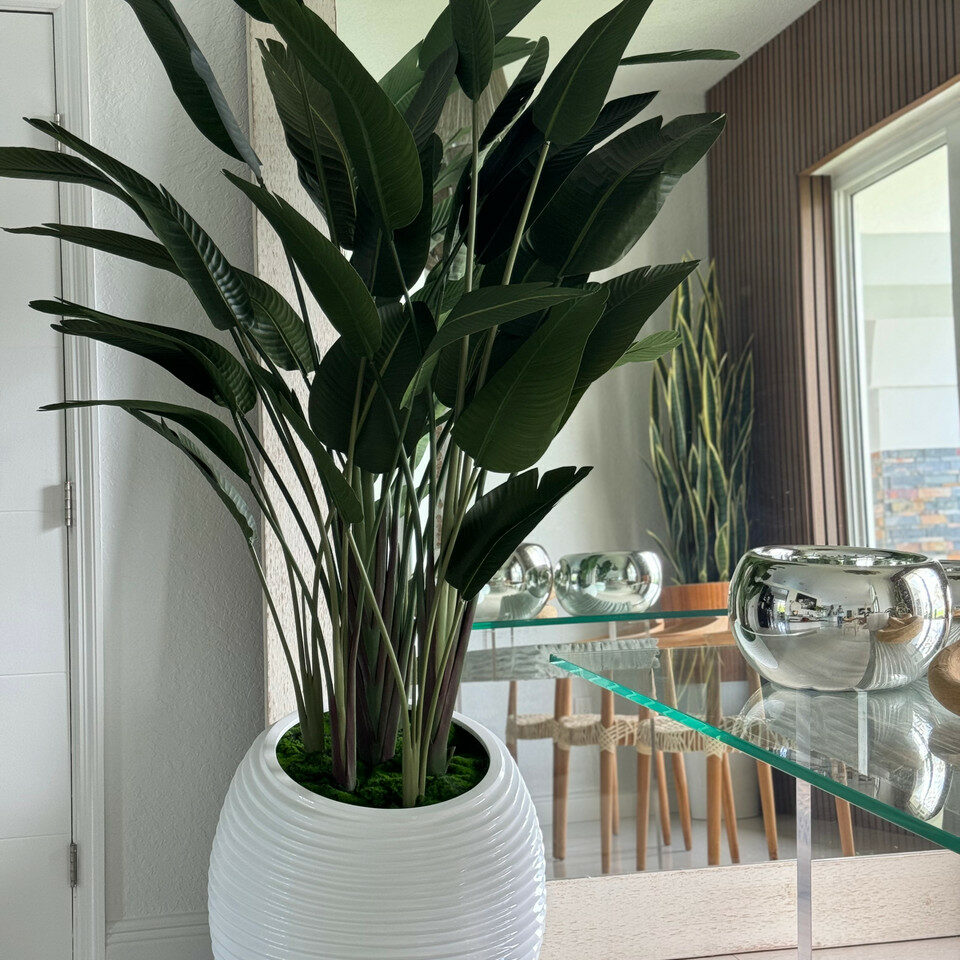 Paradiesvogelblume in Elfenbeiner Spiralvase