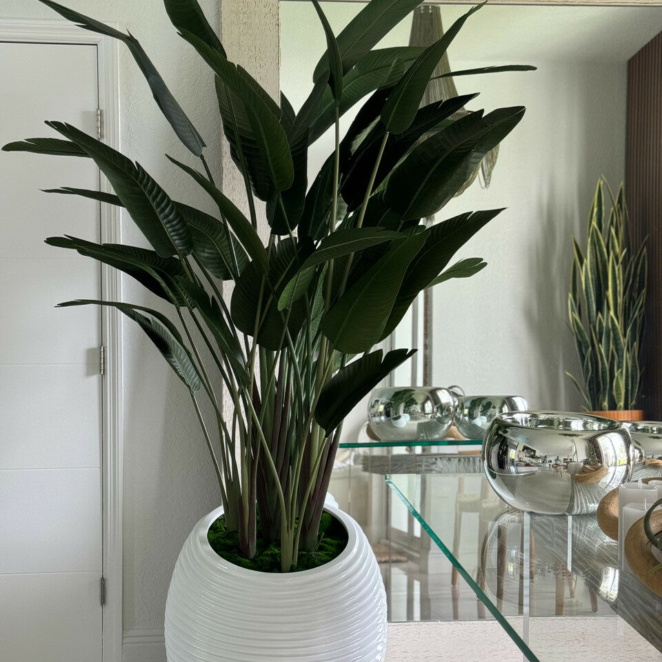 Paradiesvogelblume in Elfenbeiner Spiralvase