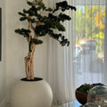 Bonsai-Baum im kugelförmigen Pflanzgefäß – 180 cm, Satinbeige