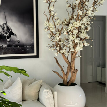 Elfenbeiner Magnolienbaum im glänzend Elfenbeinen Kugeltopf, 76 cm
