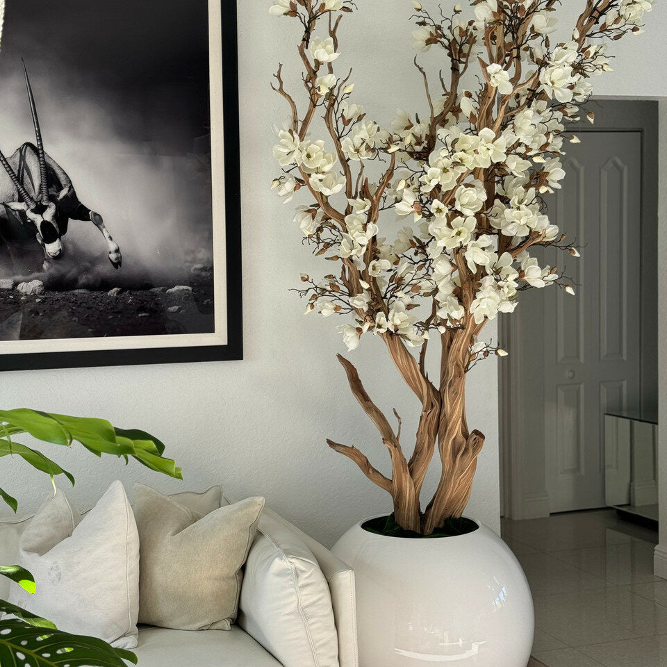Elfenbeiner Magnolienbaum im 126 cm XXLen, glänzend Elfenbeinen Kugeltopf