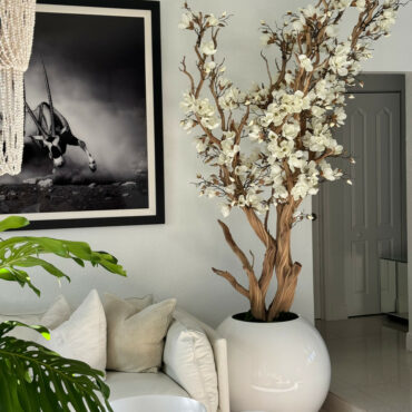 Elfenbeiner Magnolienbaum im glänzend Elfenbeinen Kugeltopf, 76 cm