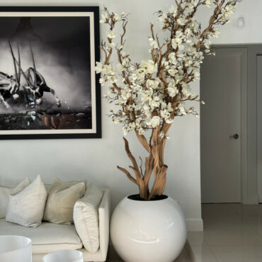 Elfenbeiner Magnolienbaum im glänzend Elfenbeinen Kugeltopf, 76 cm
